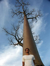 Baobab-170.jpg 