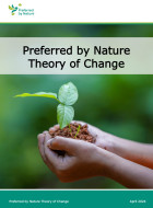 Theory of Change Description